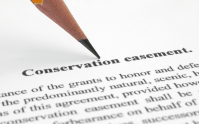 Conservation easements